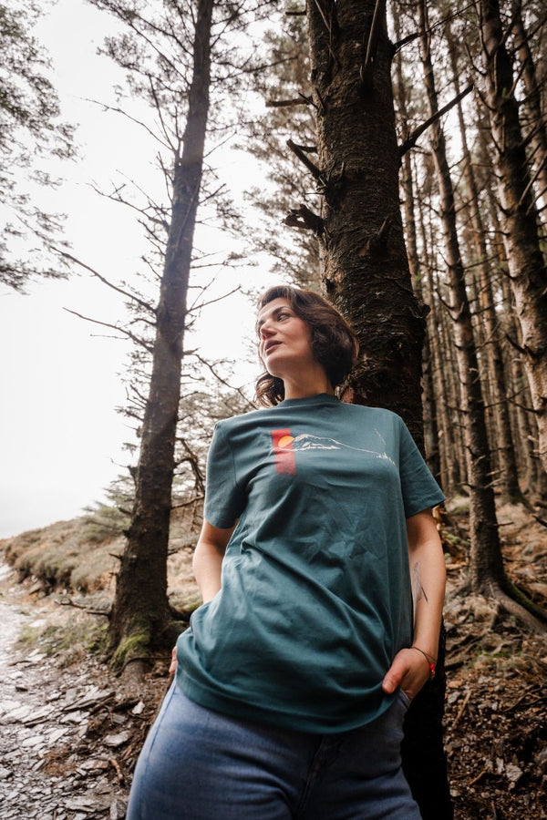 The Sugar Loaf (Stargazer) - 100% Organic cotton t-shirt