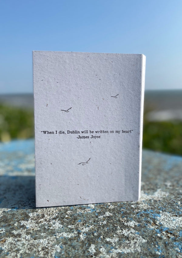 Dublin Landmarks - A5  Recycled Notebook