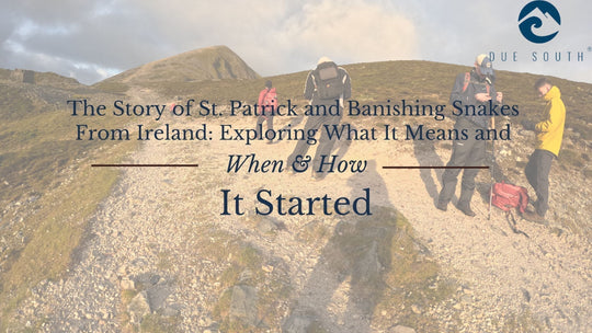 meaning of st patricks day snakes