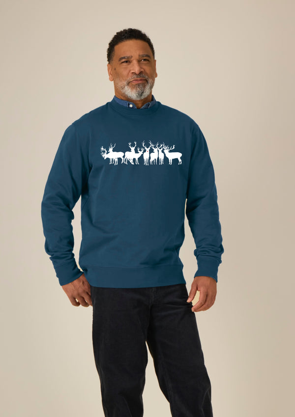 Christmas Reindeer Sweater - 100% organic cotton sweater